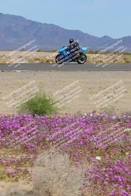 media/Mar-12-2023-SoCal Trackdays (Sun) [[d4c8249724]]/Turn 15 Inside Bloom (130pm)/